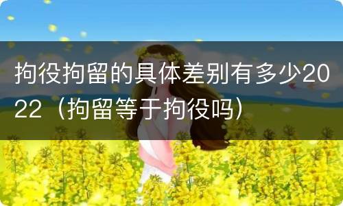 拘役拘留的具体差别有多少2022（拘留等于拘役吗）