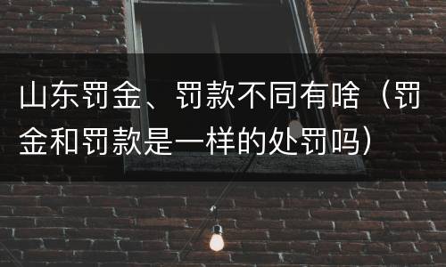 山东罚金、罚款不同有啥（罚金和罚款是一样的处罚吗）