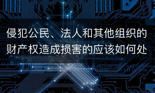 侵犯公民、法人和其他组织的财产权造成损害的应该如何处理