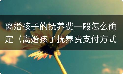 离婚孩子的抚养费一般怎么确定（离婚孩子抚养费支付方式）