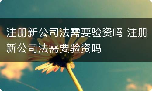 注册新公司法需要验资吗 注册新公司法需要验资吗
