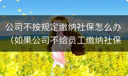 公司不按规定缴纳社保怎么办（如果公司不给员工缴纳社保怎么办）