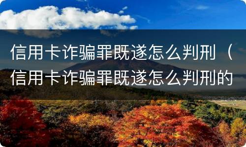 信用卡诈骗罪既遂怎么判刑（信用卡诈骗罪既遂怎么判刑的）