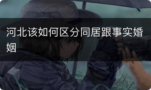 河北该如何区分同居跟事实婚姻