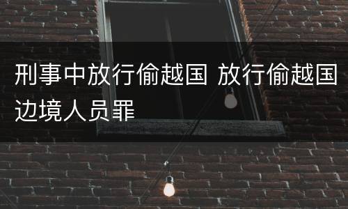 刑事中放行偷越国 放行偷越国边境人员罪