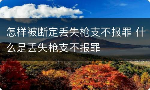 怎样被断定丢失枪支不报罪 什么是丢失枪支不报罪