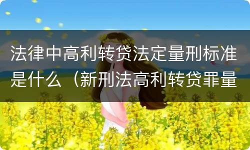 法律中高利转贷法定量刑标准是什么（新刑法高利转贷罪量刑标准）