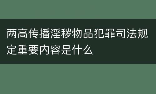 两高传播淫秽物品犯罪司法规定重要内容是什么