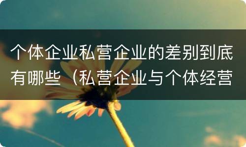 个体企业私营企业的差别到底有哪些（私营企业与个体经营企业的区别）