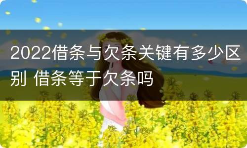 2022借条与欠条关键有多少区别 借条等于欠条吗