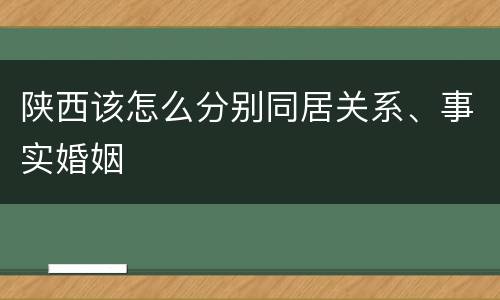 陕西该怎么分别同居关系、事实婚姻