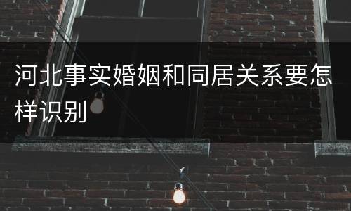 河北事实婚姻和同居关系要怎样识别