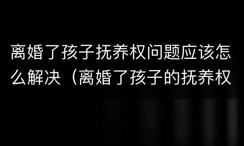 离婚了孩子抚养权问题应该怎么解决（离婚了孩子的抚养权怎么办）