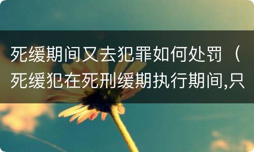 死缓期间又去犯罪如何处罚（死缓犯在死刑缓期执行期间,只要没有故意犯罪）