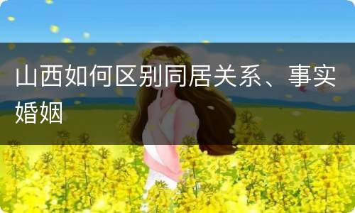山西如何区别同居关系、事实婚姻
