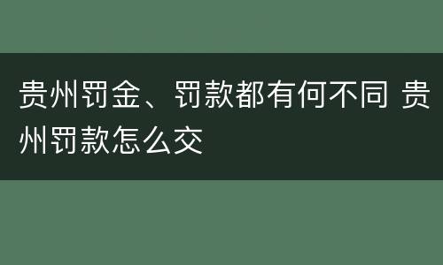 贵州罚金、罚款都有何不同 贵州罚款怎么交