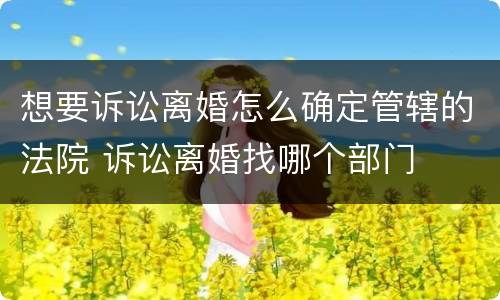 想要诉讼离婚怎么确定管辖的法院 诉讼离婚找哪个部门