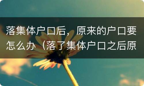 落集体户口后，原来的户口要怎么办（落了集体户口之后原来的户口还有用吗）