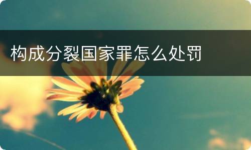 构成分裂国家罪怎么处罚