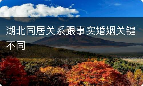 湖北同居关系跟事实婚姻关键不同