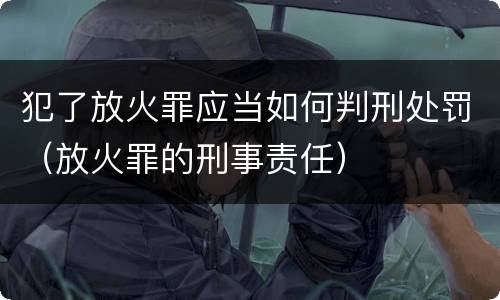 犯了放火罪应当如何判刑处罚（放火罪的刑事责任）