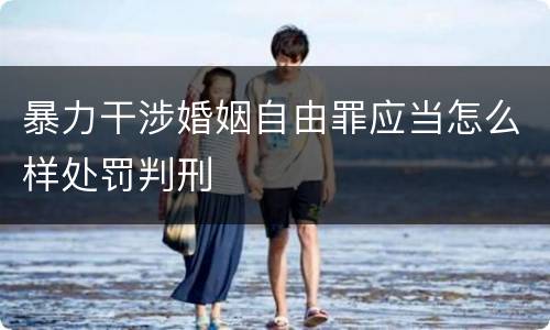 暴力干涉婚姻自由罪应当怎么样处罚判刑