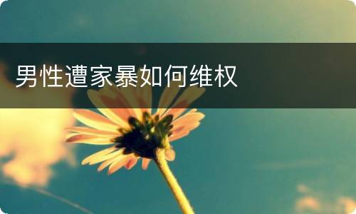 男性遭家暴如何维权