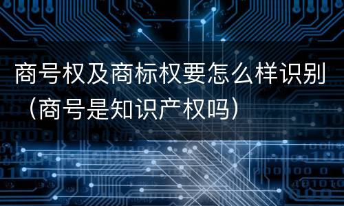 商号权及商标权要怎么样识别（商号是知识产权吗）