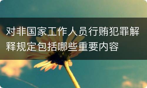 对非国家工作人员行贿犯罪解释规定包括哪些重要内容