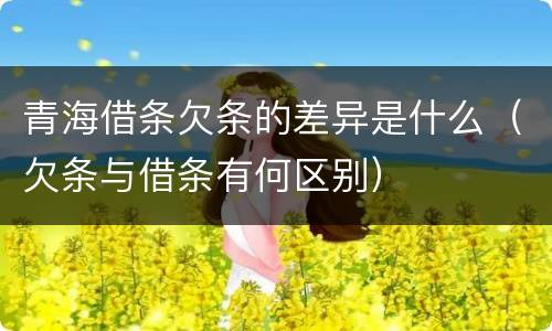 青海借条欠条的差异是什么（欠条与借条有何区别）