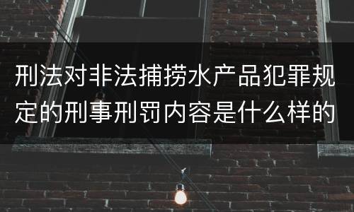 刑法对非法捕捞水产品犯罪规定的刑事刑罚内容是什么样的