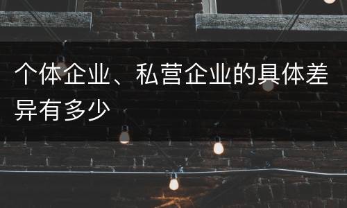 个体企业、私营企业的具体差异有多少