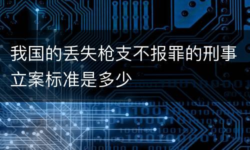 我国的丢失枪支不报罪的刑事立案标准是多少