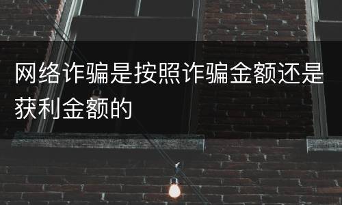网络诈骗是按照诈骗金额还是获利金额的