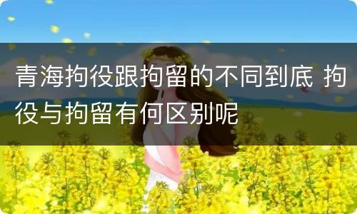 青海拘役跟拘留的不同到底 拘役与拘留有何区别呢