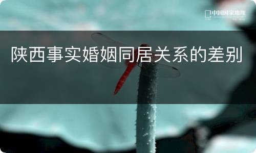陕西事实婚姻同居关系的差别