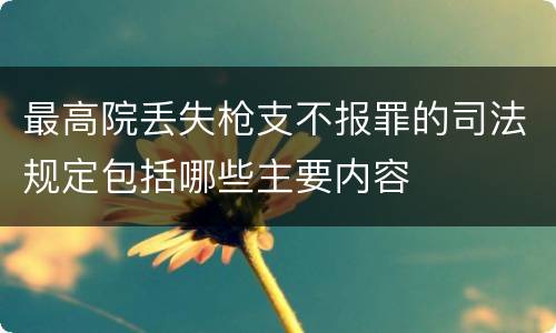 最高院丢失枪支不报罪的司法规定包括哪些主要内容