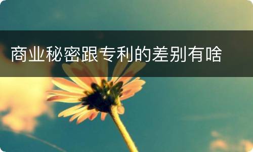 商业秘密跟专利的差别有啥
