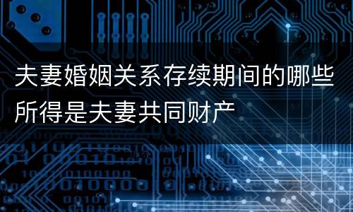 夫妻婚姻关系存续期间的哪些所得是夫妻共同财产