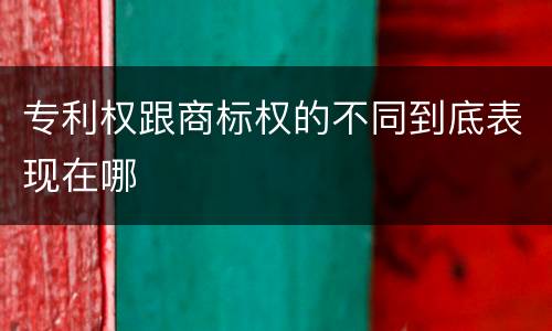 专利权跟商标权的不同到底表现在哪