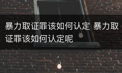 暴力取证罪该如何认定 暴力取证罪该如何认定呢
