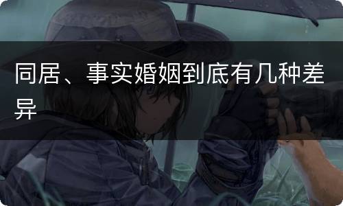 同居、事实婚姻到底有几种差异