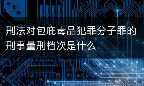 刑法对包庇毒品犯罪分子罪的刑事量刑档次是什么