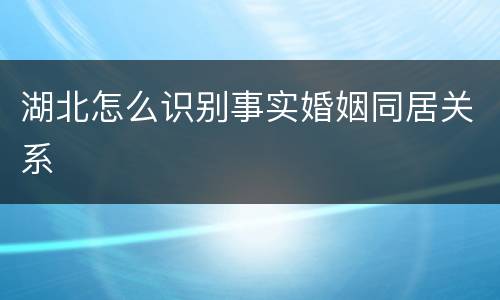 湖北怎么识别事实婚姻同居关系