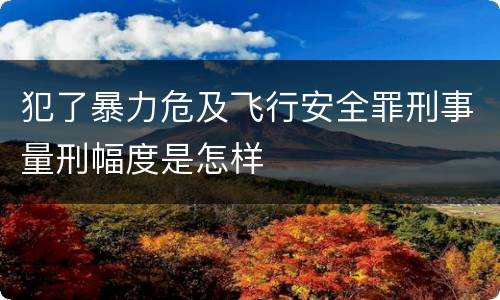 犯了暴力危及飞行安全罪刑事量刑幅度是怎样