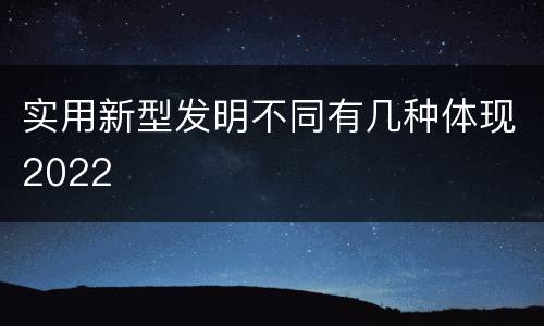 实用新型发明不同有几种体现2022