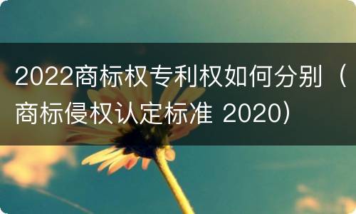 2022商标权专利权如何分别（商标侵权认定标准 2020）