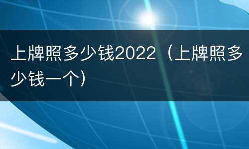 上牌照多少钱2022（上牌照多少钱一个）