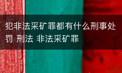 犯非法采矿罪都有什么刑事处罚 刑法 非法采矿罪