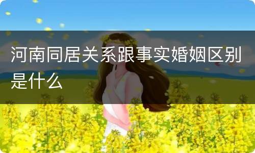 河南同居关系跟事实婚姻区别是什么